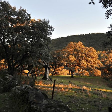 La Molinilla Apartamentos Y Hammam (Adults Only) Linares de la Sierra Kültér fotó