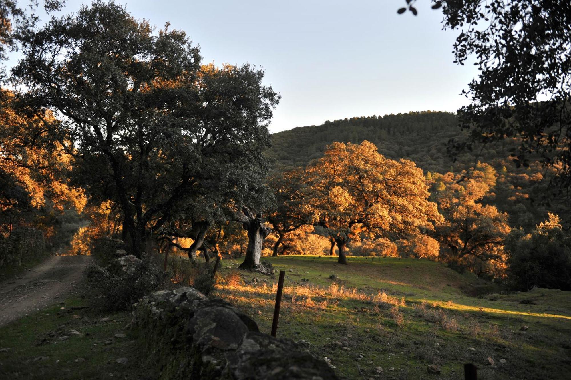 La Molinilla Apartamentos Y Hammam (Adults Only) Linares de la Sierra Kültér fotó